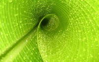 世界举重锦标赛：技术动作精细化减少失误，2021年世界举重比赛视频
