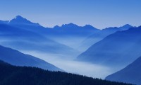 2026 电竞入奥后的职业寿命延长调查：为什么 25 岁不再是退役分水岭？